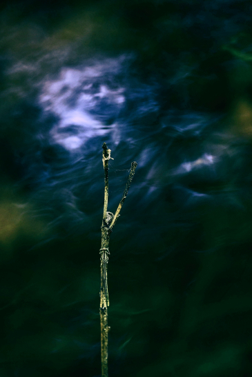 Patrik MAREK / PERCEPCE