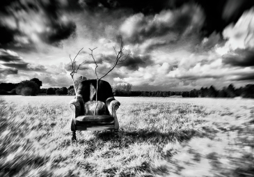 Patrik MAREK / PERCEPCE